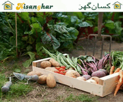 Kitchen Gardening