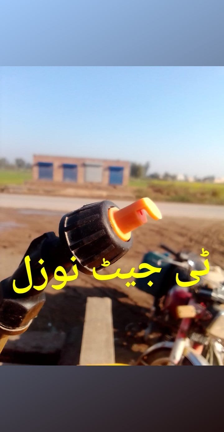 Blue pimpernel / Ø¨Ù„ÛŒ Ø¨ÙˆÙ¹ÛŒ