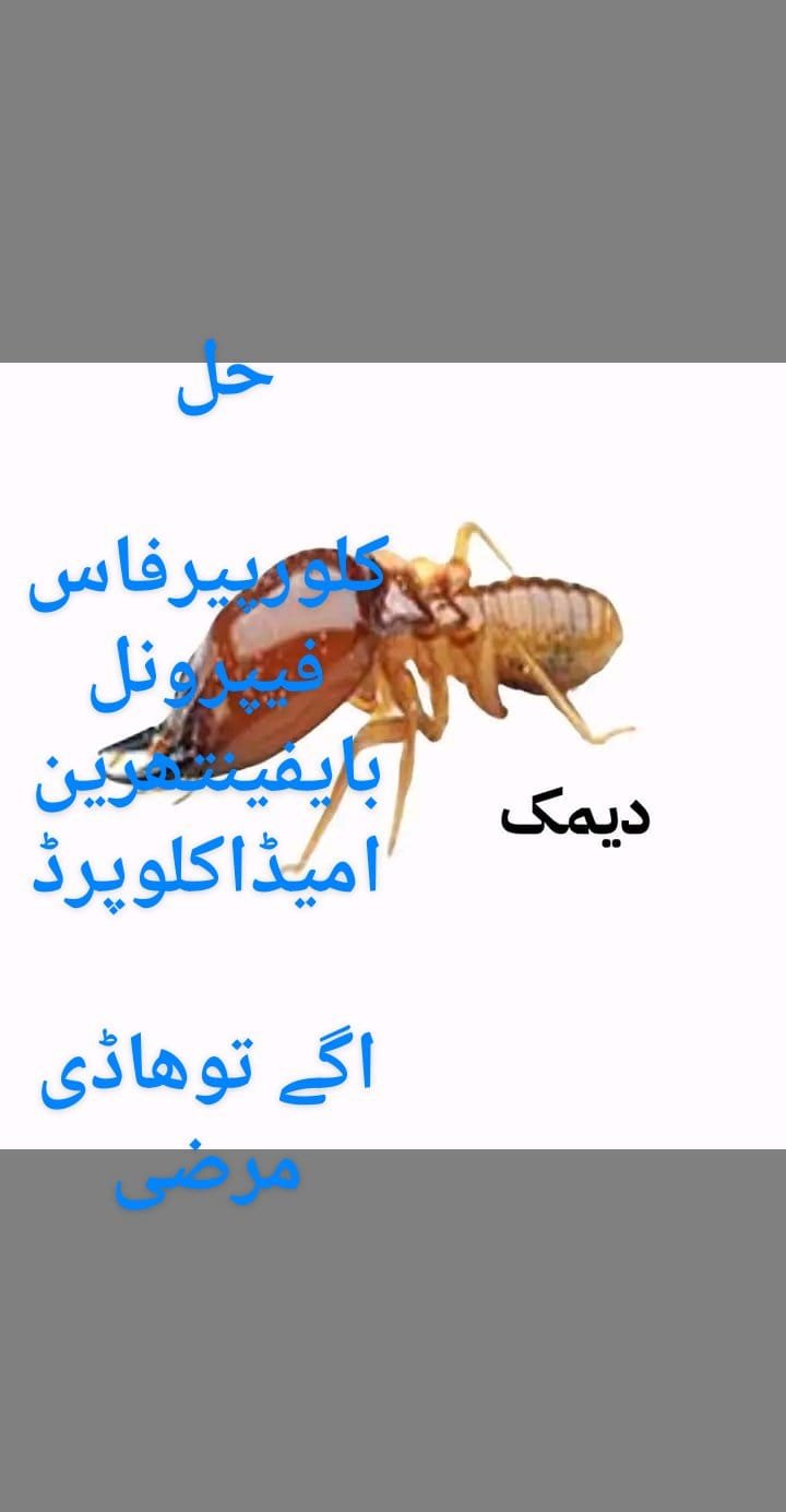 (Termite) دیمک