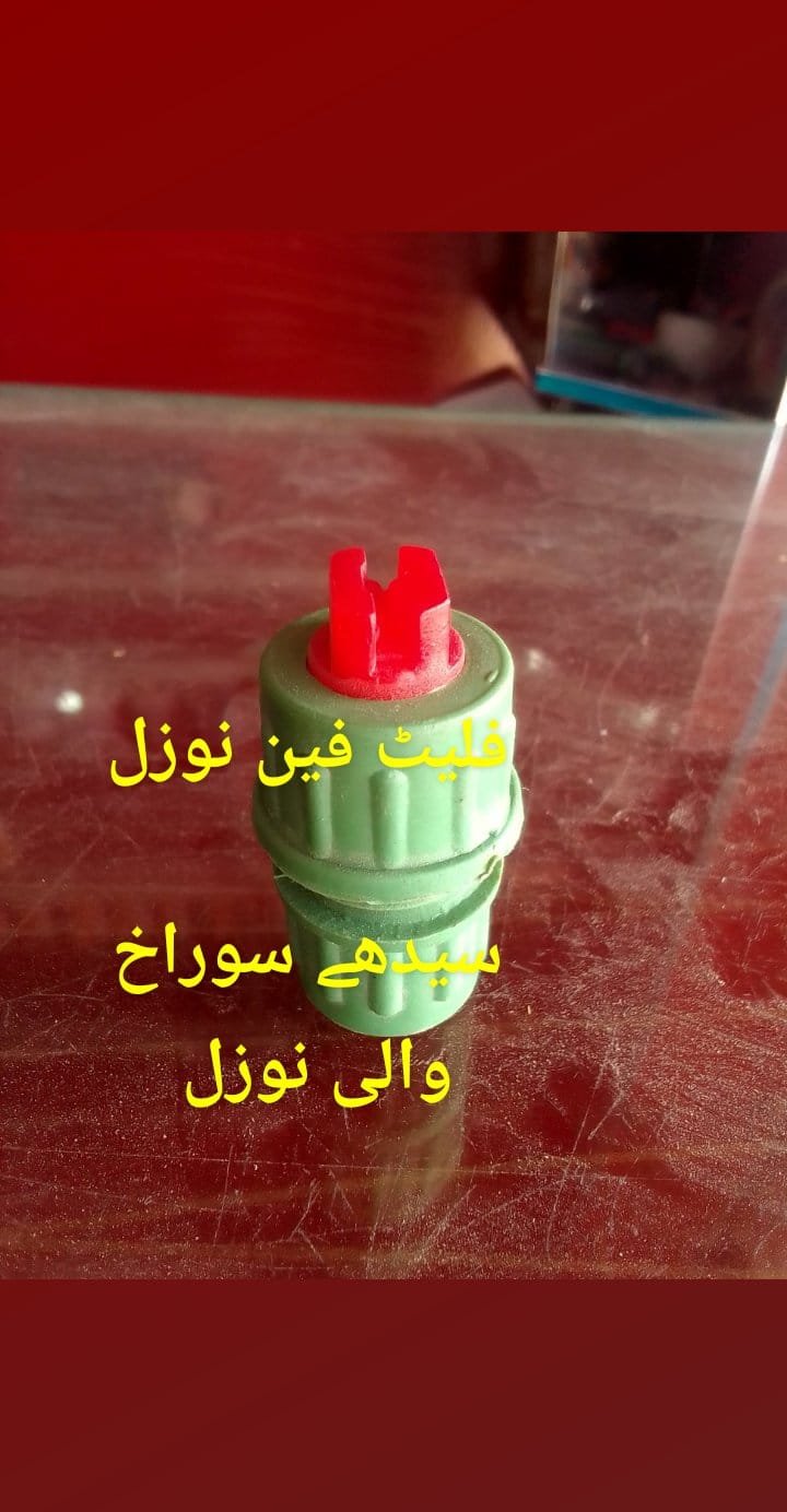 Common reed / Ù†Ú‘Ø§ ØŒÙ†Ú‘Ùˆ