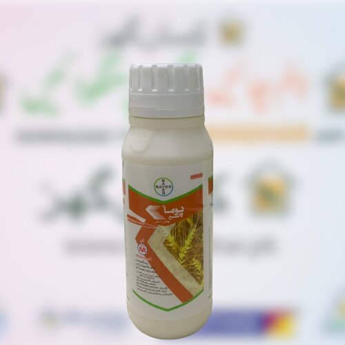 Puma Super 500ml 69 G/litre - P - Ethyl Wheat Crop Herbicide / Weedicide Bayer Crop Science Ù¾ÙˆÙ…Ø§ Ø³Ù¾Ø± Ø¨Ø§Ø¦Ø± - Kissan Ghar