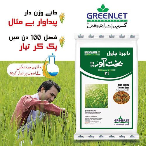 2nd Bakhtawar Tfa 121 Hybrid Rice F1 5kg Greenlet International Mungi Seed Moonji Seed Chawal Seed Paddy Seed