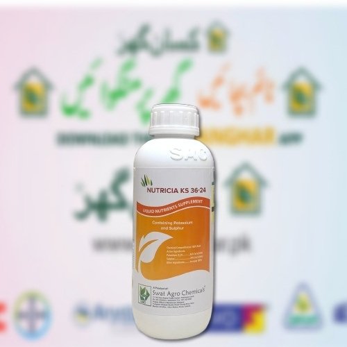 Nutricia K-S 1litre 00 00 36 24 Potash K 36 Sulphur S 24 Npk For Fertigation And Foliar Spray Swat Agro Chemicals Spachem Spain Liquid Nutrients Supplement Liquid Fertilizer NutriciaKS Nutricia KS