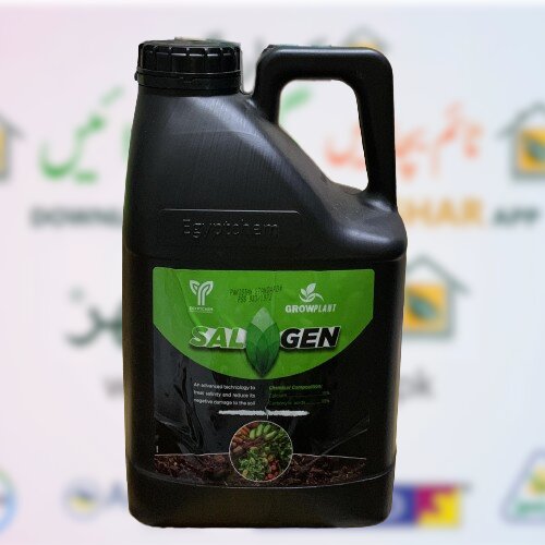 2nd Sal Gen 5litre Calcium 15 Carboxylic Acids 18 Egyptchem International Grow Plant Salgen