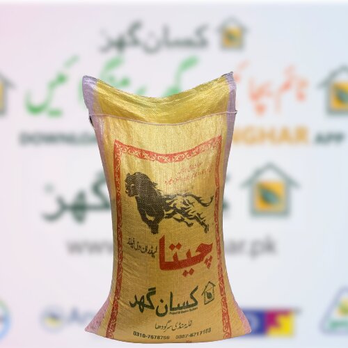 Desi Makki Seed 20kg For Fodder Sabz Chara Pakistani Desi Corn for Animals Feed