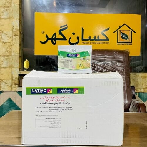 Nativo 75WG 65gm 100 Packets in One Carton Tebuconazole + Trifloxystrobin Fungicide Bayer Crop
