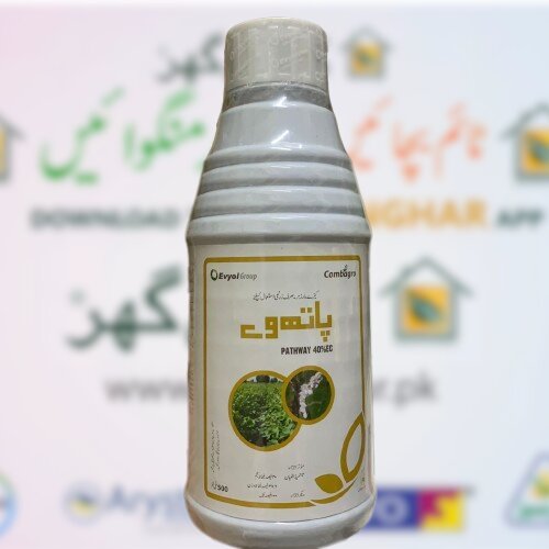2nd Pathway 40ec 500ml Methidathion For Mealybug Evyol Group Kanzo Combagro Agpharma