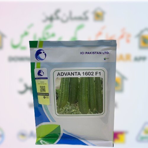 Ridge Gourd Advanta 1602 F1 Tori 50gm Ici Pakistan Luck Core Industries Lci Hybrid Seed