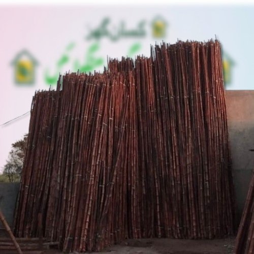 Bandle of 50 Bamboo Sticks for low tunnel farming  9 feet to 10 feet each Best for tunnel farming Hard Bans Pole