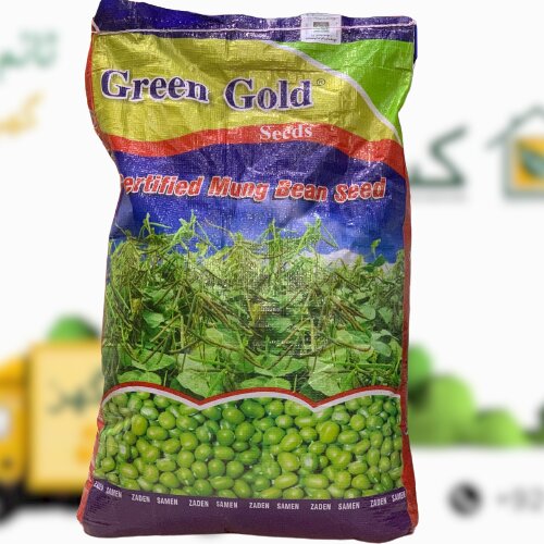 Moong Seed Azri Mung - 2006 10kg Green Gold Mung Bean Moongi Beej Mungbean Mung Bean