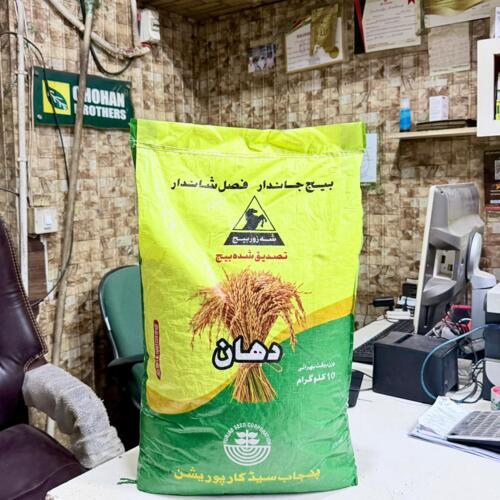 Rice Seed Pusa 1847 Basmati 10kg Improved Version Pusa PB 1847 Punjab Seeds / Saver Seeds ( part of 10kg bag )