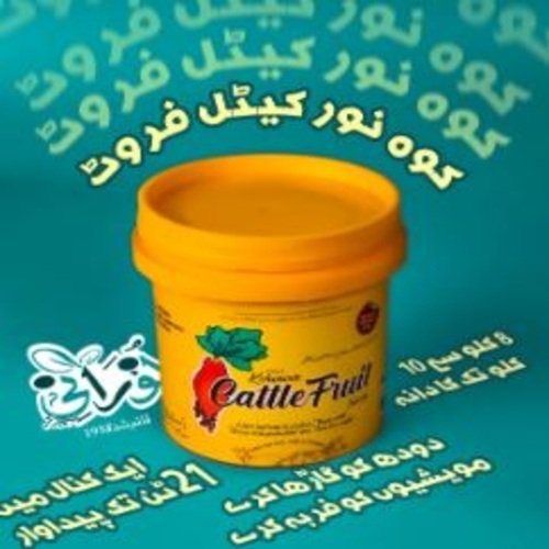 Kohenoor Cattle Fruit 3000 Seed Bucket - کوہ نور کیٹل فروٹ 3ہزار بیج کا پیک Noorani Seeds