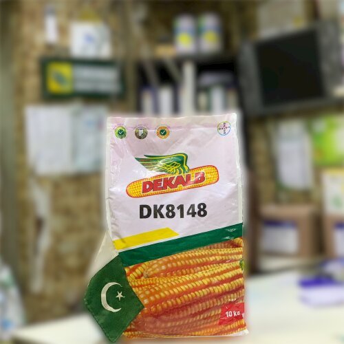 Dk8148 Hybrid Corn Seed 10kg Monsanto Dekalb Bayer Maize Seeds Kissan