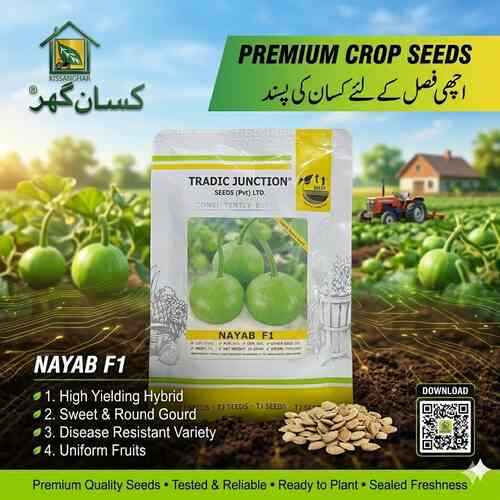 Nayab F1 Kadu 35GM Tradic Junction Seeds (Pvt) Ltd. is a premium hybrid seed variety specifically developed for high-quality round gourd production, offered through Kissan Ghar.