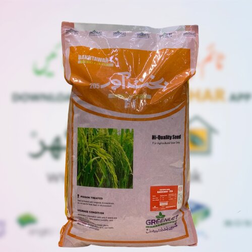 Bakhtawar 205 Hybrid Rice F1 5kg Alike 86 Supri White Greenlet International Mungi Seed Paddy Seed