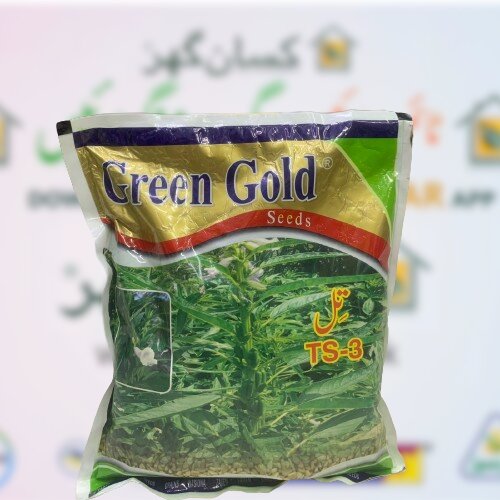 Sesame Seed Ts 03 1kg Green Gold Farmi Till Beej تل کا بیج