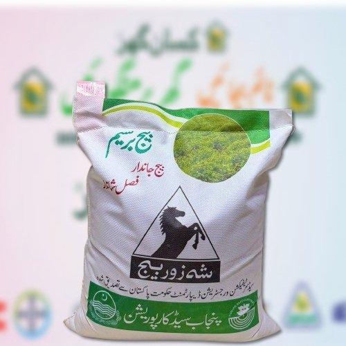 Barseem Seed PSC 10kg clover seed Punjab seed corporation Haru Brand Haro Seed Desi Berseem Multicut Barsim Sabz Chara Clover Pach 
