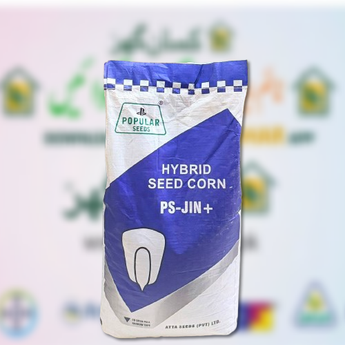 2nd PS-JIN+ 10KG Atta Seeds Double Cross Hybrid Silage Corn Seed 35000 Kernels Per Acre Maize Seed JIN PLus 