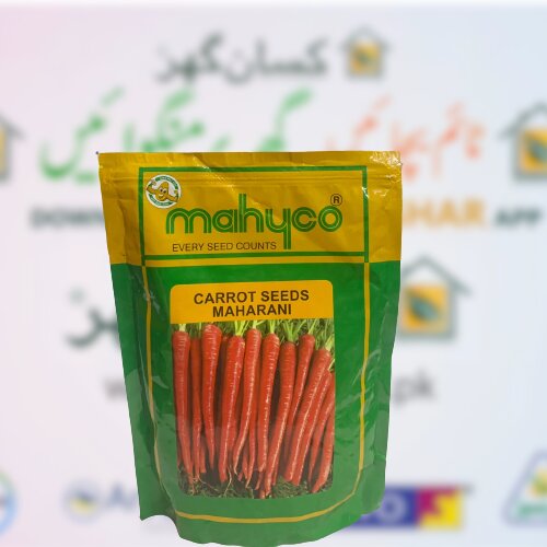 2nd Carrot Seeds 1kg Carrot Red Core Maharani Seeds Company Gajar Seed Mahyco Every Seed Counts Ntl Seeds Asian Seeds