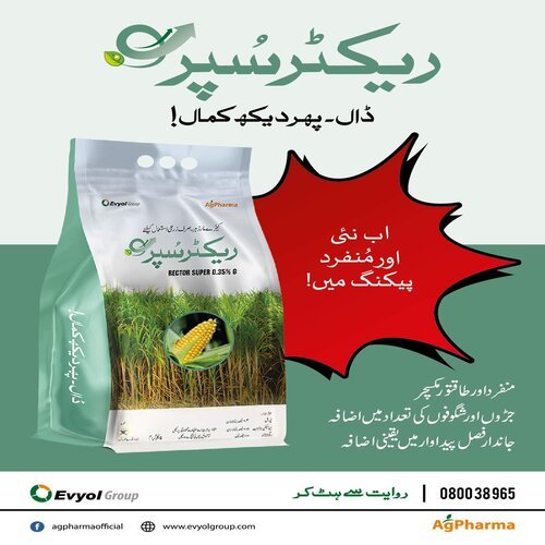 Rector Super 0.35G 8kg Fipronil + Emamectin Benzoate Granular Evyol Group Ag Pharma Kanzo Combagro