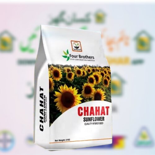 Chahat 2kg Chahat Sunflower Seed Hybrid Seed Four Brothers Tarzan