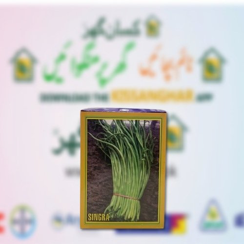 2nd Singra seed 100GM Vegetable seeds for kitchen gardening and comercial purpose Green gold Kisan ghar
