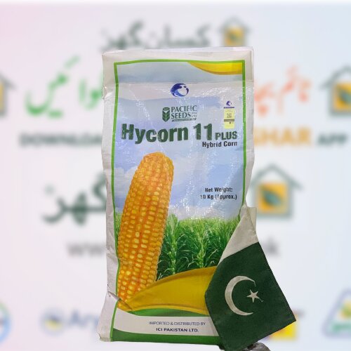 Hycorn 11 Plus 10kg Ici Advanta Pacific Seeds Hybrid Corn Maize Silage Hicorn