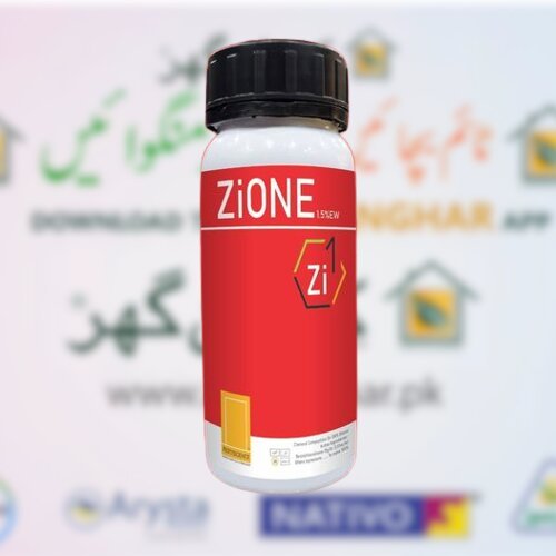 Zione 1.5ew 200ml Benziothiazolinone Bacterial And Fungal Diseases In Various Agricultural Crops Fertiscience
