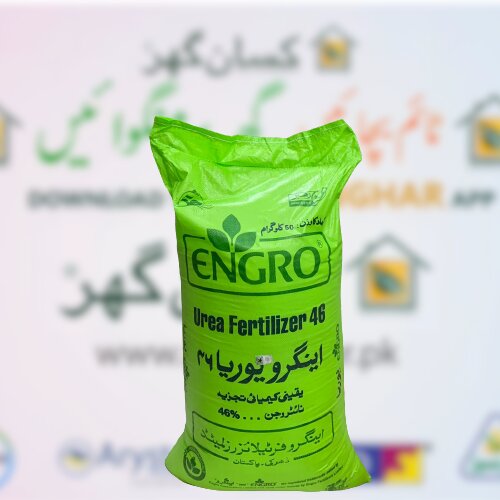 2nd Engro Urea 50kg Nitrogen Engro Fertilizer Kissan Ghar Best Fertilizer Store 