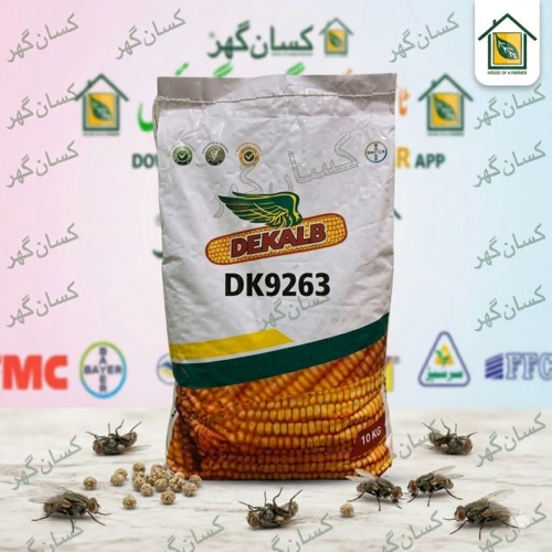 Dekalb DK9263 Hybrid Maize Seed (مکئی کا بیج) Corn Seed DK 9263 Bayer Seeds Monsanto 