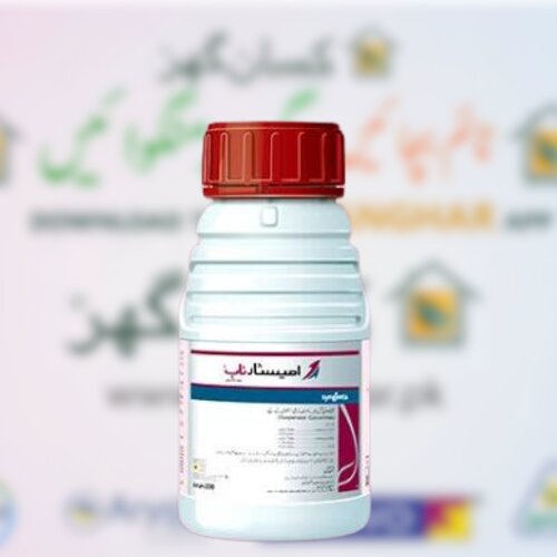 2nd Amistar Top 200Ml 200g/L Azoxystrobin 125g/L Difenoconazole Fungicide Syngenta Pakistan