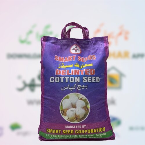 Cyto 551 ( pink free glyphosate free whitefly resistant ) Cotton Seed 5kg Pack Best Cotton Variety of Pakistan Kisan Ghar Smart Seed Corporation Kappas ka beej