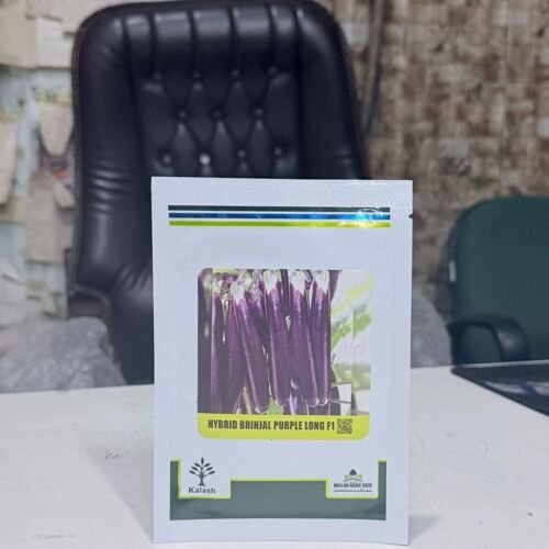 Long Brinjal Purple F1 Hybrid F1 Black 10gm Kalash Millan Agro Seed بینگن سیڈ Benguni Lamba Bengun