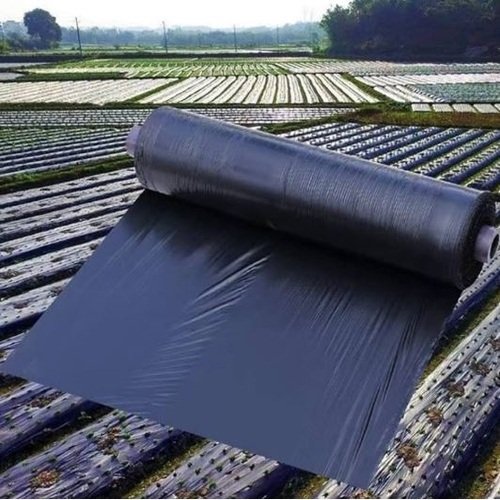 Black Ldpe Black Mulch Film Roll 20KG, 2.5feet width For Agriculture, Black Mulching Films To Control Weeds To Control Weeds ( 5000 Feet Almost ) Mulching sheet for plants Agri Plastics Kala shoper Best for vegetable farming