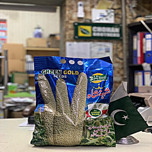 2nd Hybrid Seed Pearl Millet Shahansha 2.5kg  F1 Pakkawan Bajra 