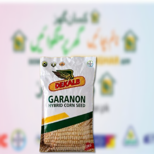 Garanon 2kg Hybrid Corn Seed White Maize Seed Dekalb Bayer seeds
