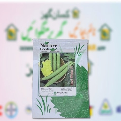 Sponge Gourd Tori 50gm Desi White F1 Tori Moondstar Nature Seeds 