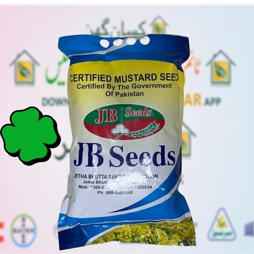 Khanpur Canola 2kg Mustard Seed Sarsoon Beej JB Seeds Best for sowing 
