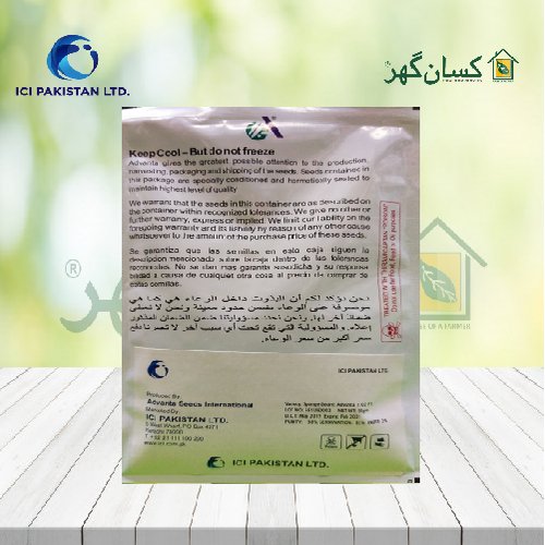 2nd Advanta 1102 F1 Sponge Gourd 50gm