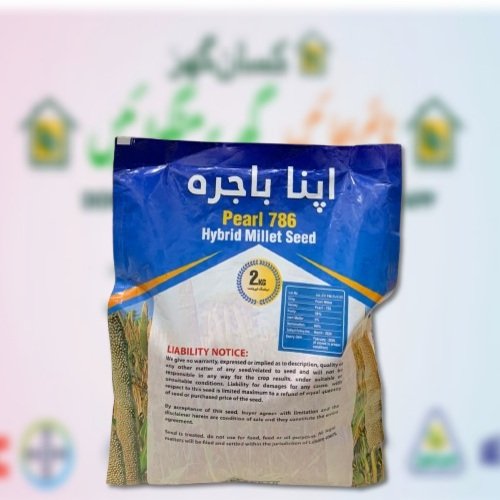 Hybrid Bajra Seed Pearl Millet Apna Bajra 786 2kg F1 Pakkawan Bajra Pakawan Bajra DJC Ali Akbar