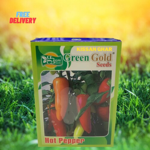 Green Pepper Seeds 100gm Green Gold Chilli Chili 