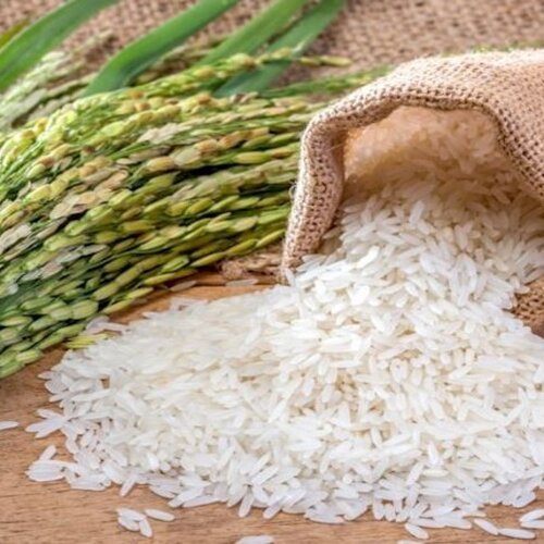 2nd Hybrid Rice Seed Gir-3 5kg Ici Pakistan Lci Pakistan Hybrid Paddy Seed