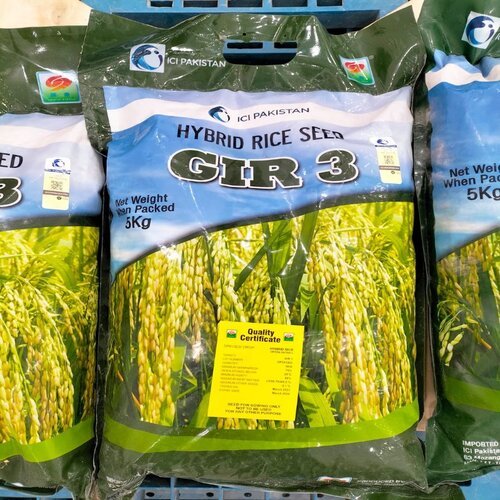 Hybrid Rice Seed Gir-3 5kg Ici Pakistan Lci Pakistan Hybrid Paddy Seed