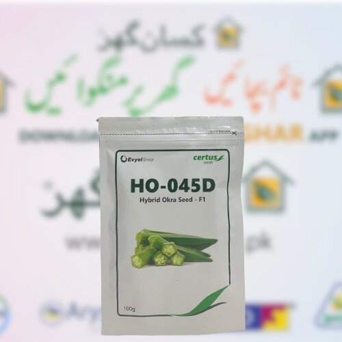 Hybrid Okra HO-041B/044C Green Star landy finger F1100gram Bhindi Seed Certus Seeds Combagro Evyol Group Read Discriptions