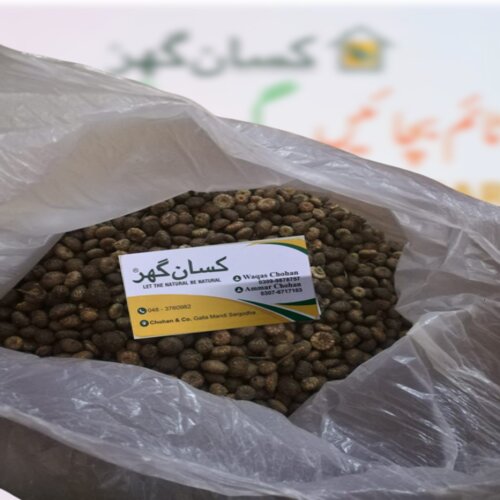 AkarKara Seed 500GM Indian Akar kara Seed is an Herb (Anacyclus pyrethrum) used in traditional medicine that contains many phytochemicals, including phenols and flavonoids عقر قرحا