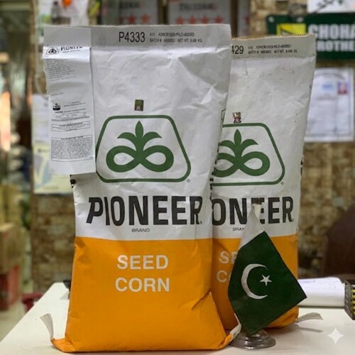 Pioneer P4333 Hybrid Maize Seed (مکئی کا بیج) Corn Seed Corteva P 4333 Best for Grains and Silage