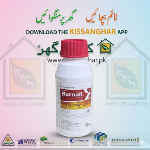 Burnall 110ME Herbicide Spray 500ML Greenlet Enterprises KingAgroot Ingredient Flufenoximacil And Glufosinate-P  Target Ali akbar ( Squalo ) Suncrop ( Winspeed ) DJC ( Nezha ) Sungro ( Xmaro )