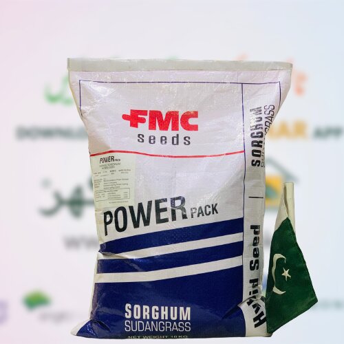 Power Pack Forage Sorghum Hybrid Seed Fmc 10kg Multicut Jawar Fodder Seed American Usa