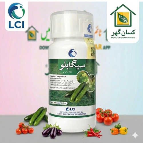 Sega Bilu 40SC 300ML (سیگا بلو) LCI – Lucky Core Industries (LCI) | Fungicide And Bactericide Premium Protection for Vegetable Crops Segabilu