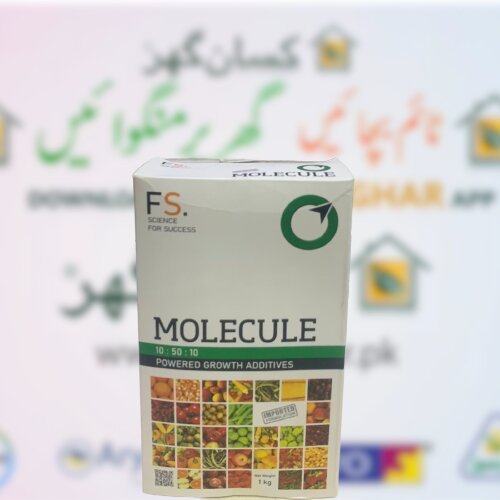 Molecule 1kg 10 50 10 Npk High Phosphorus Powered Growth Additives Imported Formulation Ferti Science 